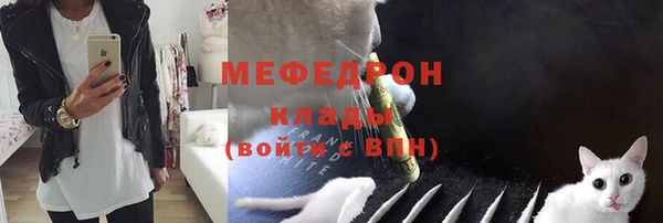 шишки Мегион