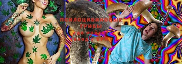 метадон Липки