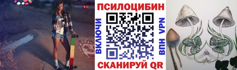 Псилоцибиновые грибы мицелий Малоярославец