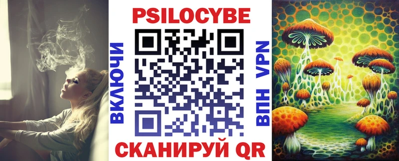 купить наркотики цена  Малоярославец  Галлюциногенные грибы прущие грибы 