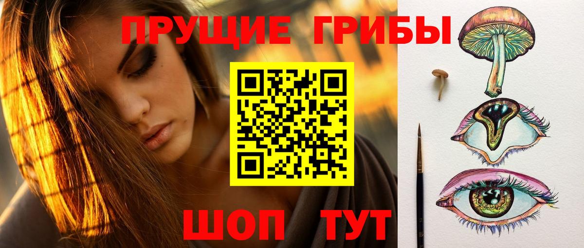 Псилоцибиновые грибы мицелий  Вход с VPN  Малоярославец 
